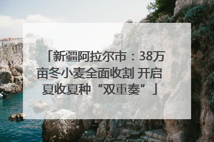 新疆阿拉尔市：38万亩冬小麦全面收割 开启夏收夏种“双重奏”