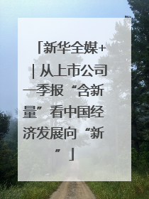 新华全媒+｜从上市公司一季报“含新量”看中国经济发展向“新”