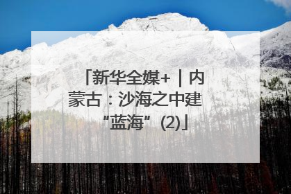 新华全媒+｜内蒙古：沙海之中建“蓝海”(2)