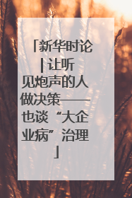 新华时论 | 让听见炮声的人做决策——也谈“大企业病”治理