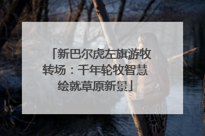 新巴尔虎左旗游牧转场：千年轮牧智慧绘就草原新景