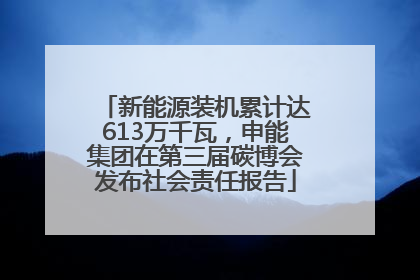 新能源装机累计达613万千瓦，申能集团在第三届碳博会发布社会责任报告