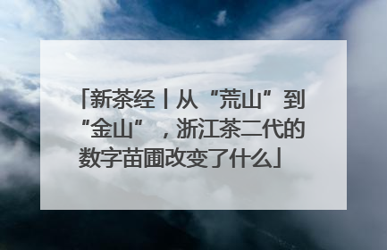 新茶经丨从“荒山”到“金山”，浙江茶二代的数字苗圃改变了什么