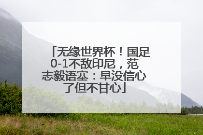 无缘世界杯！国足0-1不敌印尼，范志毅语塞：早没信心了但不甘心