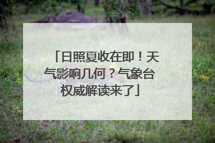 日照夏收在即！天气影响几何？气象台权威解读来了