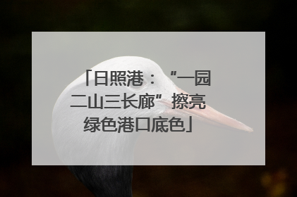 日照港：“一园二山三长廊”擦亮绿色港口底色