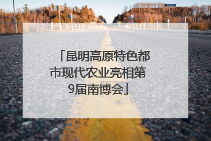 昆明高原特色都市现代农业亮相第9届南博会
