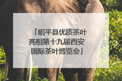 昭平县优质茶叶亮相第十九届西安国际茶叶博览会