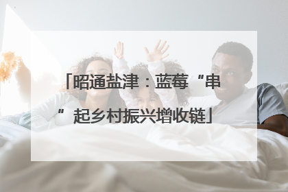 昭通盐津：蓝莓“串”起乡村振兴增收链