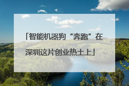 智能机器狗“奔跑”在深圳这片创业热土上