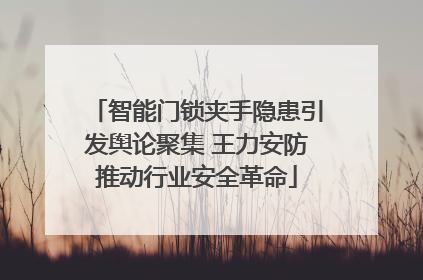 智能门锁夹手隐患引发舆论聚集 王力安防推动行业安全革命