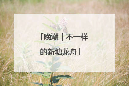 晚潮｜不一样的新塘龙舟