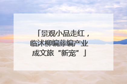 景观小品走红，临沭柳编藤编产业成文旅“新宠”