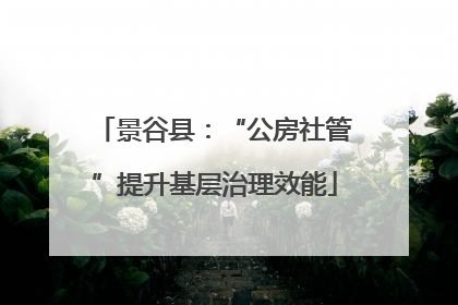 景谷县：“公房社管”提升基层治理效能
