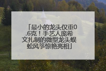 最小的龙头仅重0.6克！手艺人庞希文扎制的微型龙头蜈蚣风筝惊艳亮相