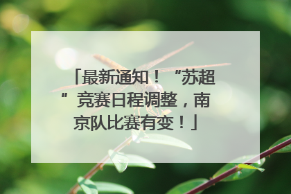 最新通知！“苏超”竞赛日程调整，南京队比赛有变！
