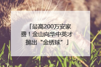 最高200万安家费！金山向华中英才抛出“金绣球”