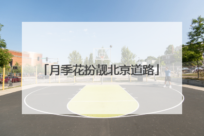 月季花扮靓北京道路