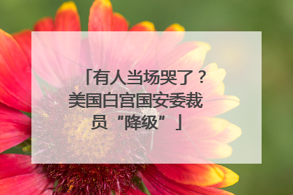 有人当场哭了？美国白宫国安委裁员“降级”