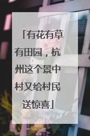 有花有草有田园，杭州这个景中村又给村民送惊喜