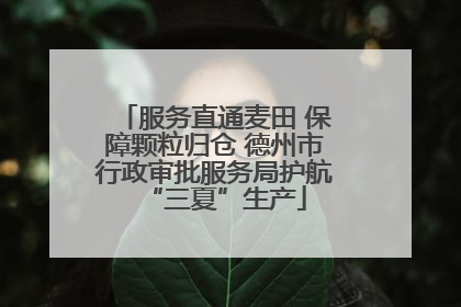 服务直通麦田 保障颗粒归仓 德州市行政审批服务局护航“三夏”生产
