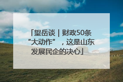 望岳谈｜财政50条“大动作”，这是山东发展民企的决心