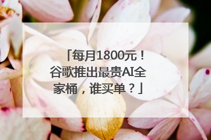 每月1800元！谷歌推出最贵AI全家桶，谁买单？