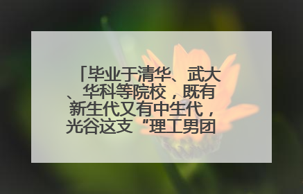 毕业于清华、武大、华科等院校，既有新生代又有中生代，光谷这支“理工男团”为何“出道”？