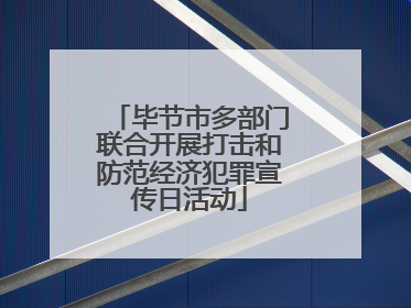 毕节市多部门联合开展打击和防范经济犯罪宣传日活动