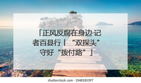 正风反腐在身边·记者百县行丨“双探头”守好“拨付路”