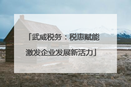 武威税务：税惠赋能 激发企业发展新活力