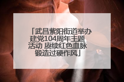 武昌紫阳街道举办建党104周年主题活动 赓续红色血脉锻造过硬作风
