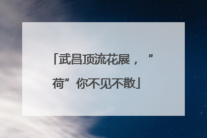 武昌顶流花展，“荷”你不见不散