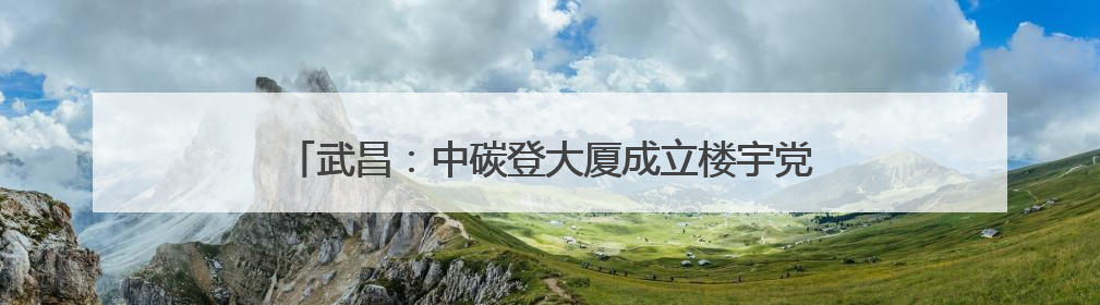武昌：中碳登大厦成立楼宇党委 推进双碳产业高质量发展