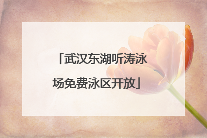 武汉东湖听涛泳场免费泳区开放