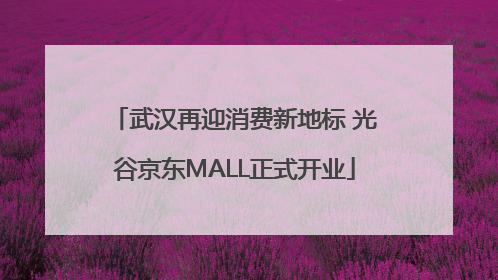 武汉再迎消费新地标 光谷京东MALL正式开业