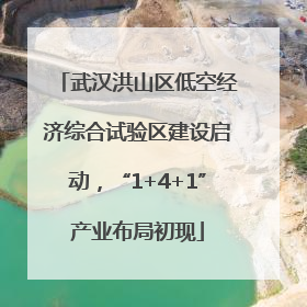 武汉洪山区低空经济综合试验区建设启动，“1+4+1”产业布局初现
