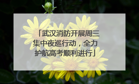 武汉消防开展周三集中夜巡行动，全力护航高考顺利进行