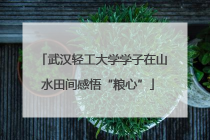 武汉轻工大学学子在山水田间感悟“粮心”