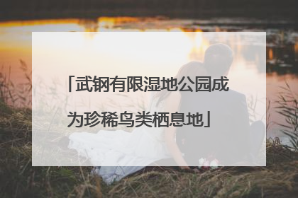 武钢有限湿地公园成为珍稀鸟类栖息地