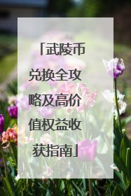 武陵币兑换全攻略及高价值权益收获指南