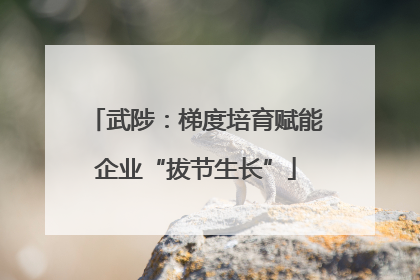 武陟：梯度培育赋能企业“拔节生长”