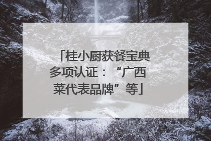 桂小厨获餐宝典多项认证：“广西菜代表品牌”等