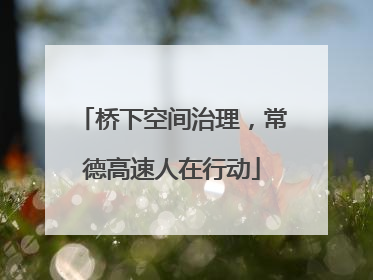 桥下空间治理，常德高速人在行动