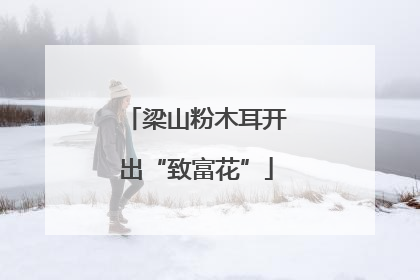 梁山粉木耳开出“致富花”