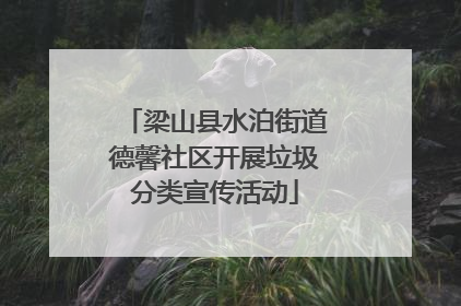梁山县水泊街道德馨社区开展垃圾分类宣传活动