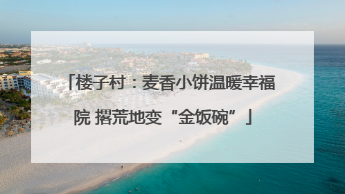 楼子村：麦香小饼温暖幸福院 撂荒地变“金饭碗”