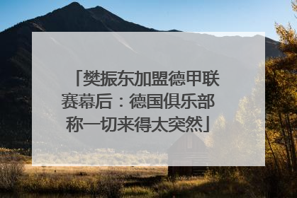 樊振东加盟德甲联赛幕后：德国俱乐部称一切来得太突然