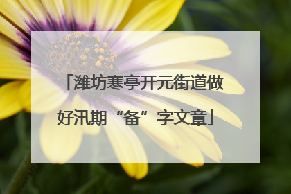 潍坊寒亭开元街道做好汛期“备”字文章