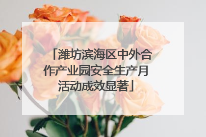 潍坊滨海区中外合作产业园安全生产月活动成效显著